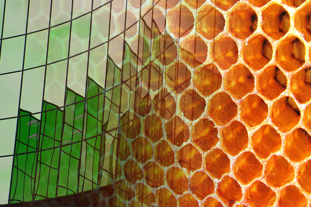 A collage that melds a closeup photo of honeycomb with a photo of a building.