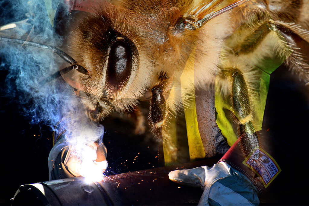 A collage that melds a photo of a worker bee with a photo of a steelworker welding metal.