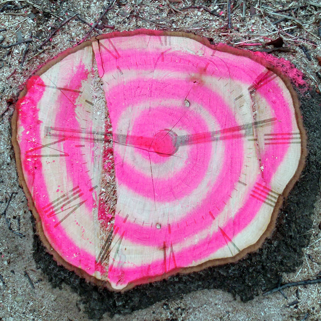 A collage that mixes a photo of a clock with mixed with a photo of a tree stump that has a spiral painted on it.
