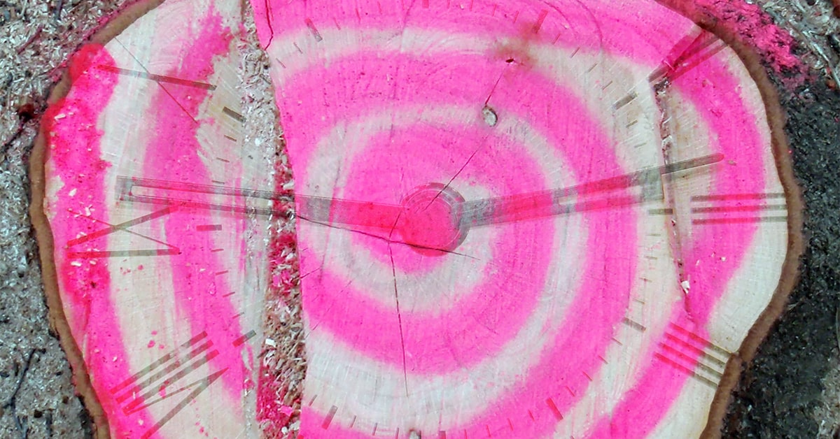 A collage that melds a photo of a clock face with an overhead photo of a sawed-off tree stump that has been painted with a spiral.